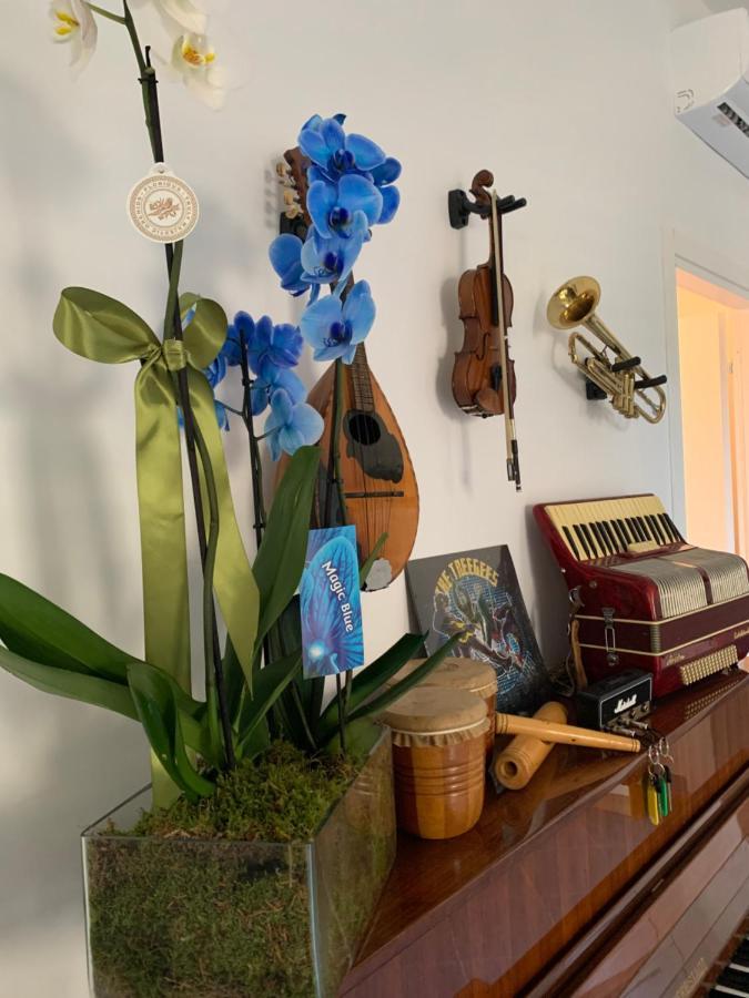 Bed and Breakfast Music House Палінуро Екстер'єр фото